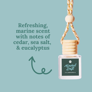 Citrus Agave Car Diffuser