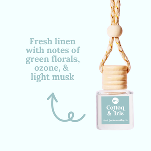 Lemon Blueberry Cake Car Diffusers
