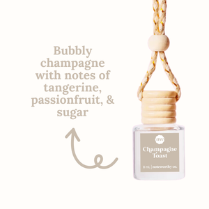 Lemon Blueberry Cake Car Diffusers