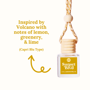 Lavender Vanilla Car Diffusers