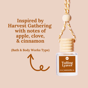 Car Diffusers | Cozy Season