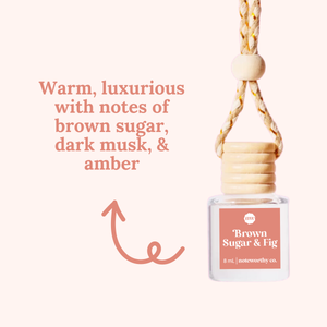 Lemon Blueberry Cake Car Diffusers