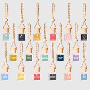 Lemon Blueberry Cake Car Diffusers