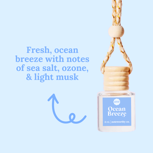 Lemon Blueberry Cake Car Diffusers