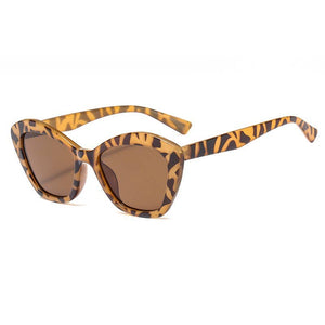 MODERN ACETATE ASSORTED SUNGLASSES | 40SG827-12 Pack: Assorted