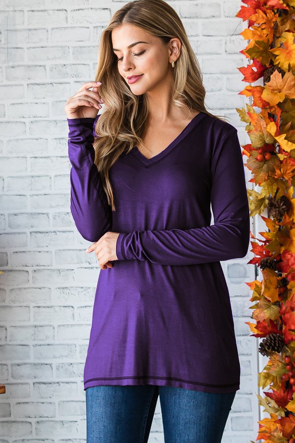 Basic Bae Long Sleeve V-Neck Top in Ash Plum